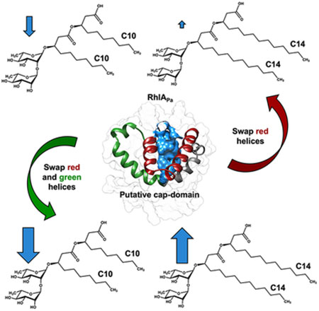 graphic file with name nihms-1034739-f0012.jpg