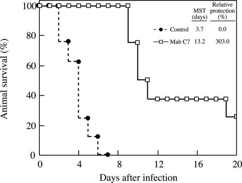 FIG. 1.