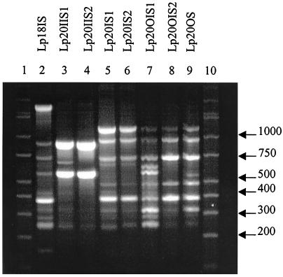 FIG. 5.