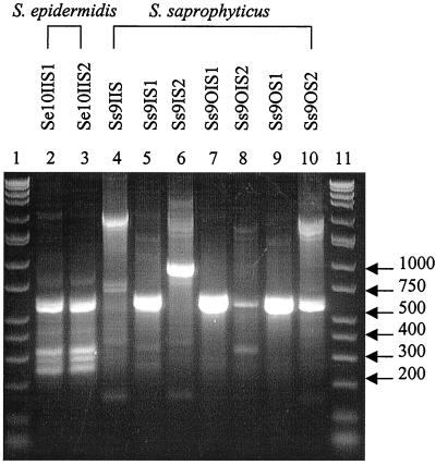 FIG. 7.