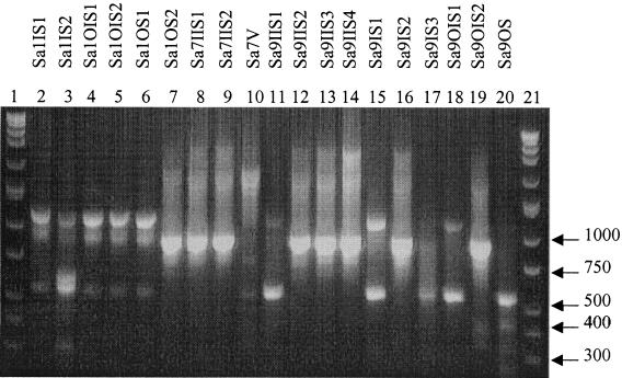 FIG. 6.