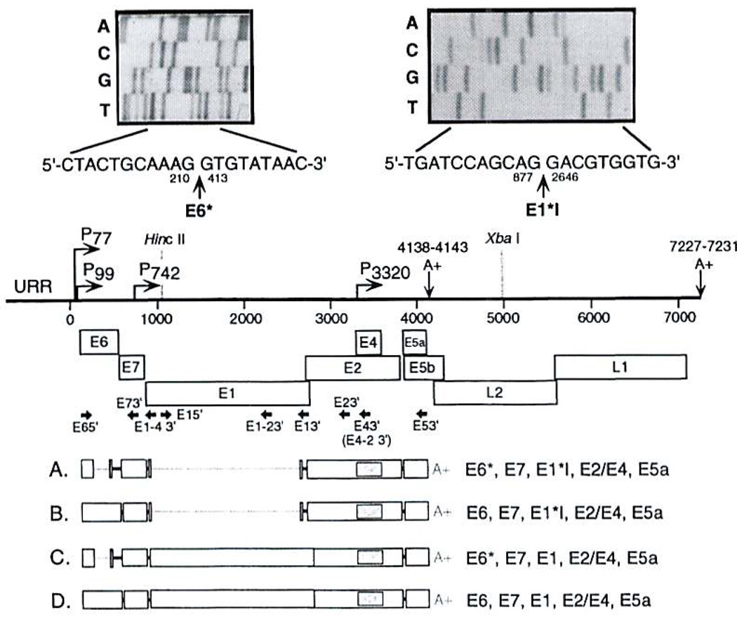 FIG. 4