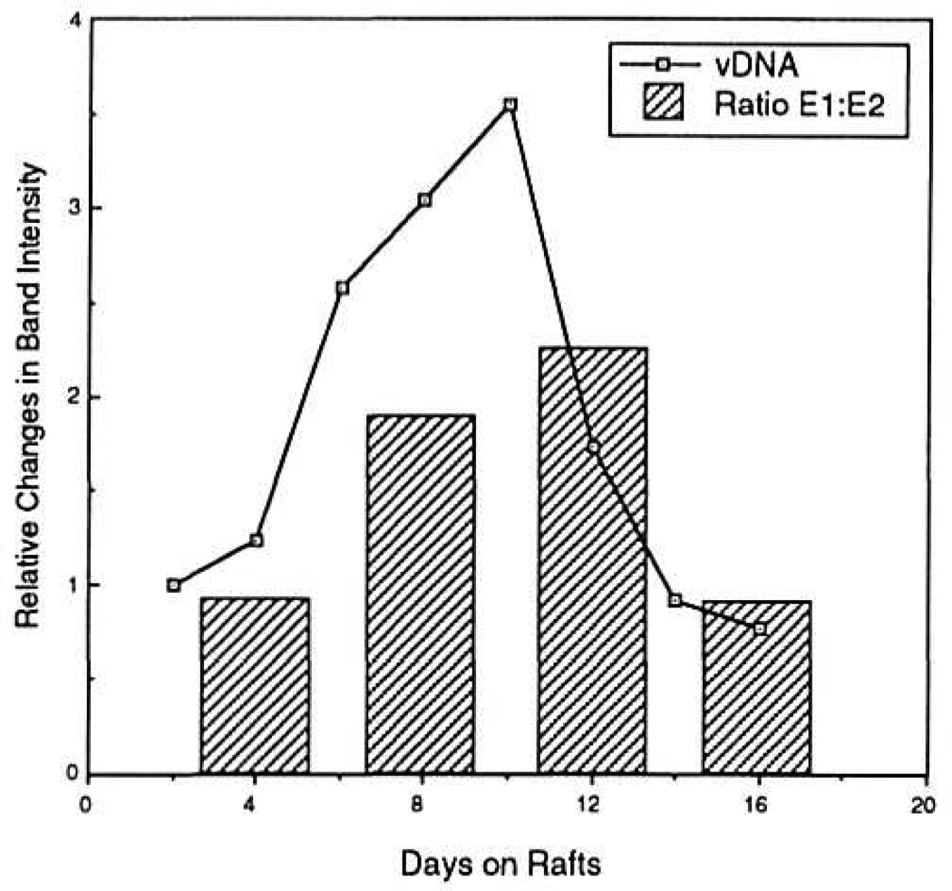 FIG. 7