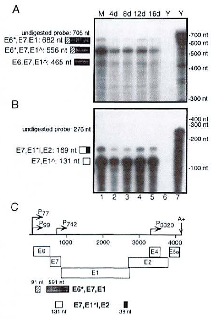 FIG. 6