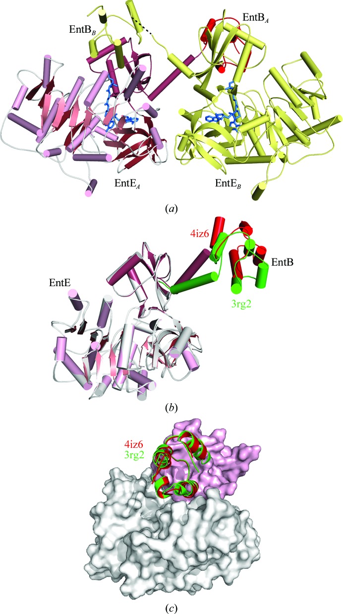 Figure 6