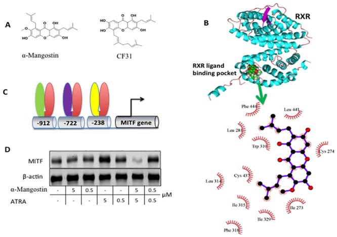 Fig 4