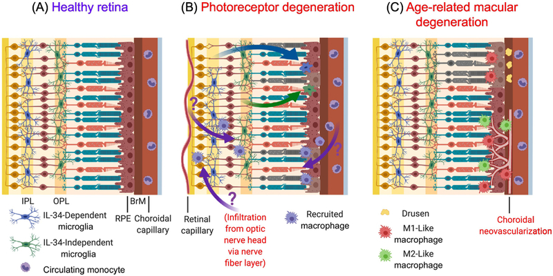 Figure 2: