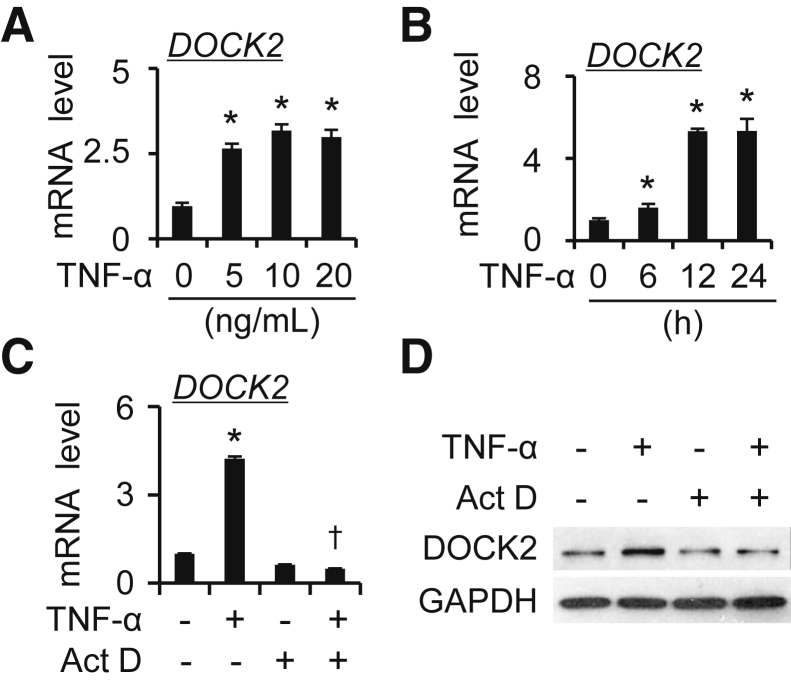 Figure 7