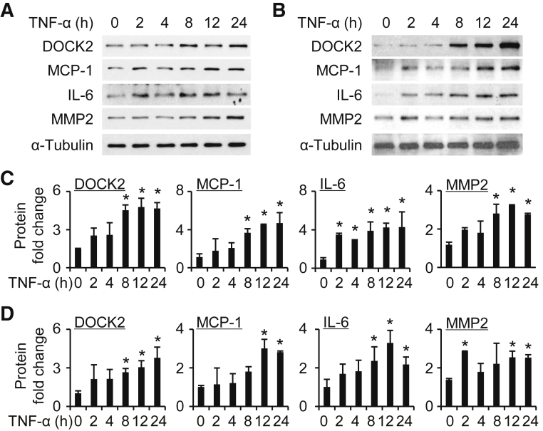 Figure 5