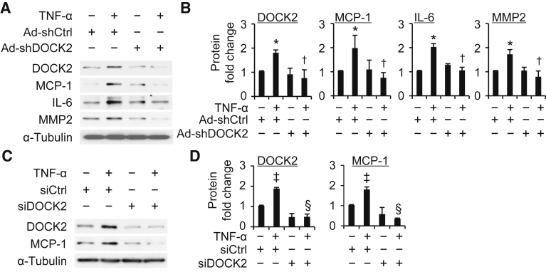 Figure 6