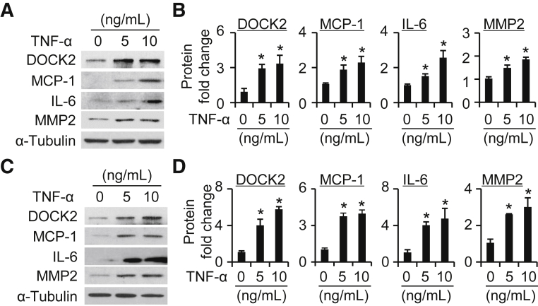 Figure 4