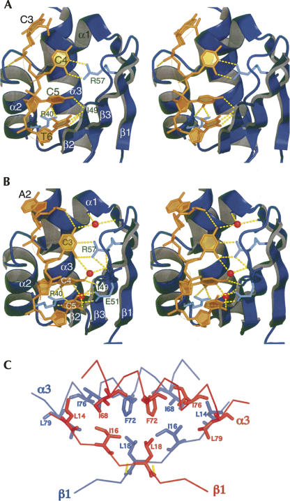 FIGURE 3.