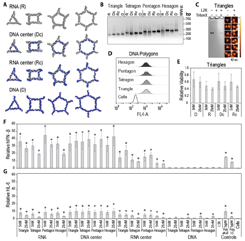 Figure 2: