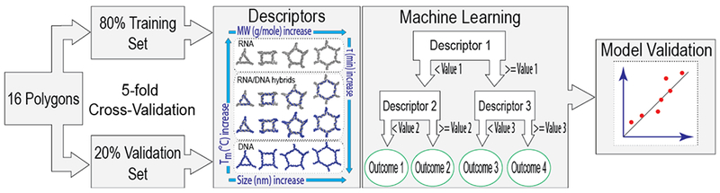 Figure 3: