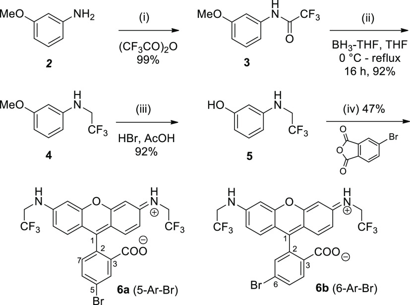 Scheme 2