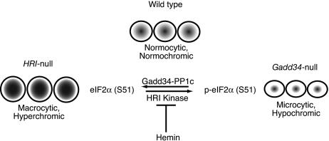 FIG. 8.