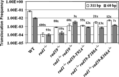 Fig. 8