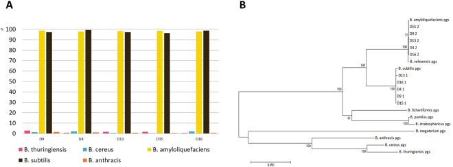 Figure 5