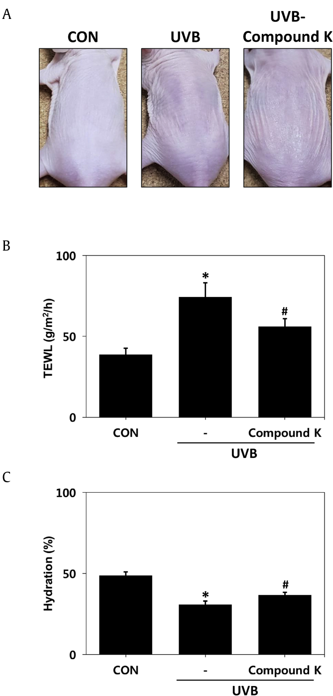 Fig. 2