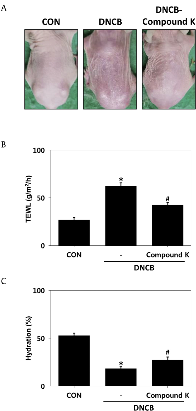 Fig. 4