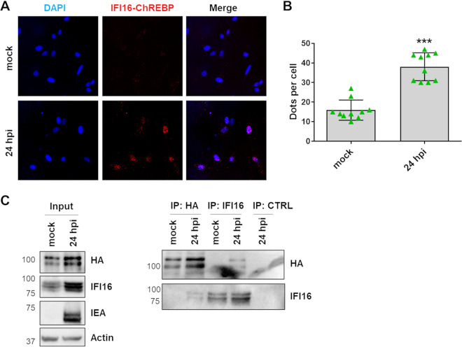 FIG 3