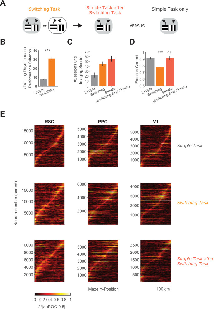 Figure 4—figure supplement 1.