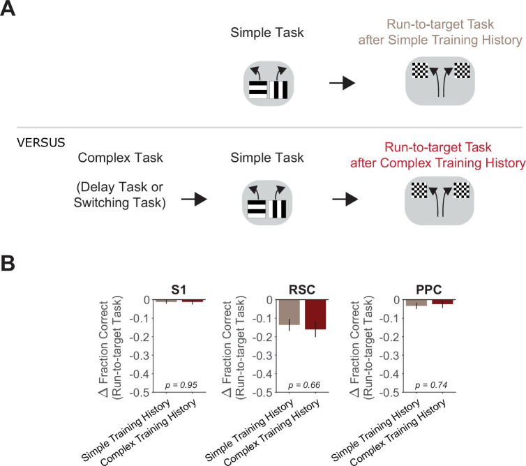 Figure 3—figure supplement 1.