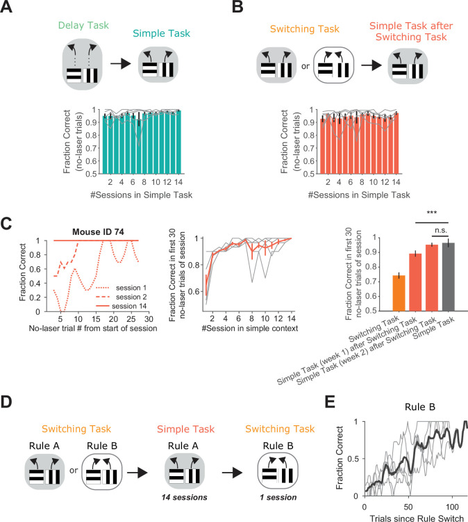 Figure 2—figure supplement 1.