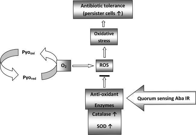 FIG 10