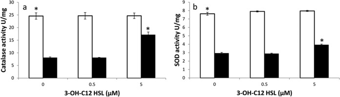 FIG 6