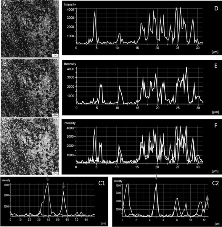 FIG 2