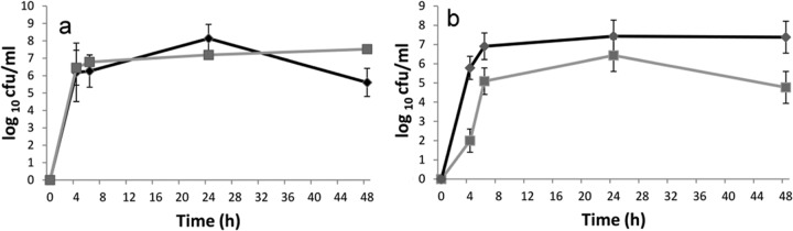 FIG 1