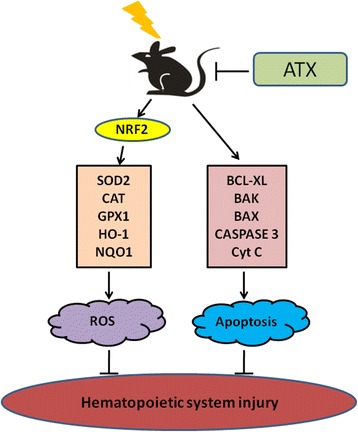 Fig. 11