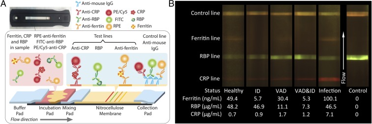 Fig. 1.