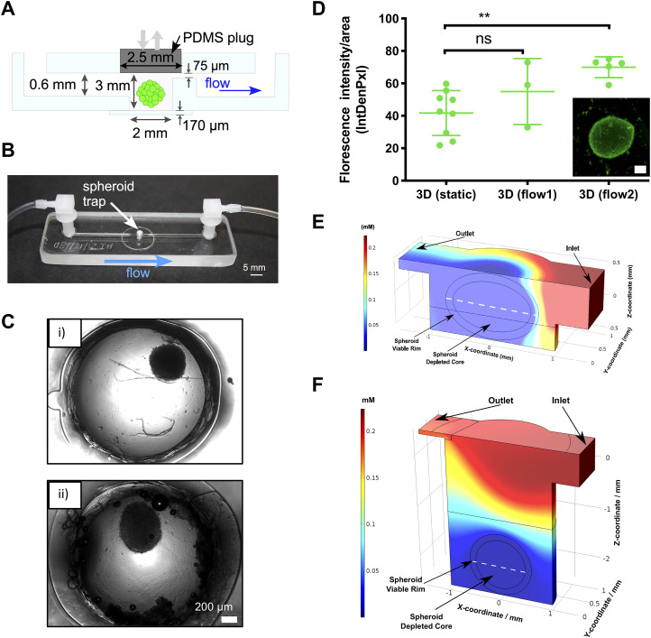 FIG. 3.