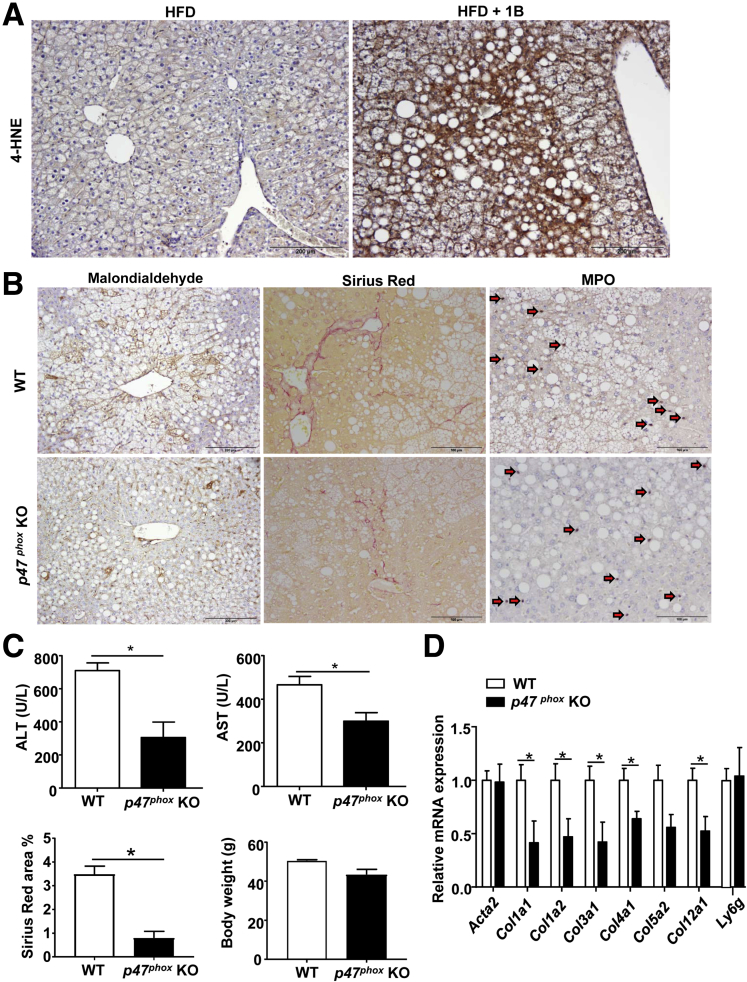 Figure 6