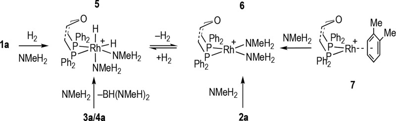 Scheme 4