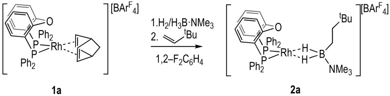 Scheme 3