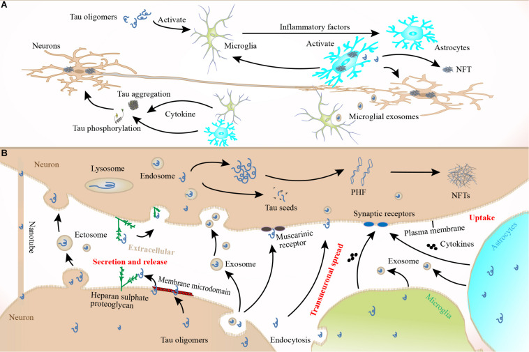 FIGURE 4