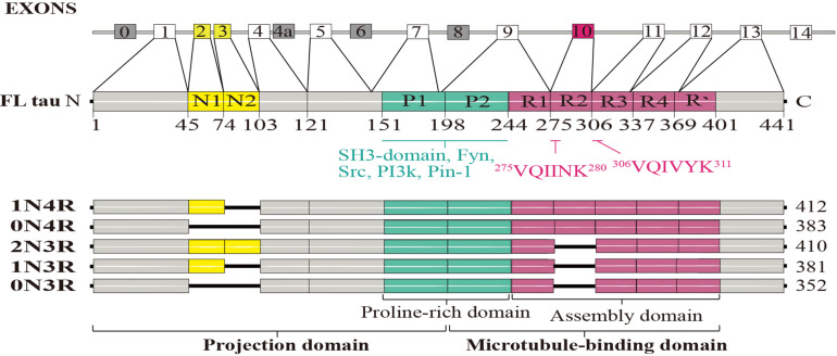 FIGURE 1