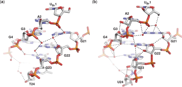 Figure 7.