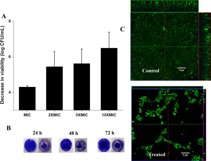 Fig 6