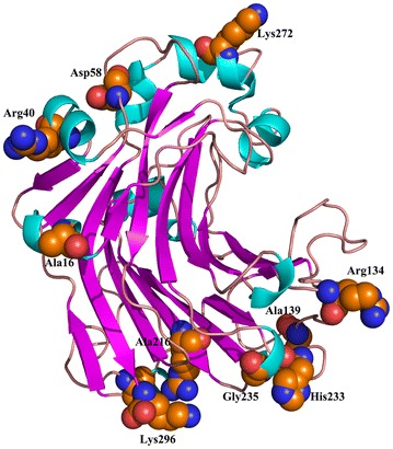 Fig. 4