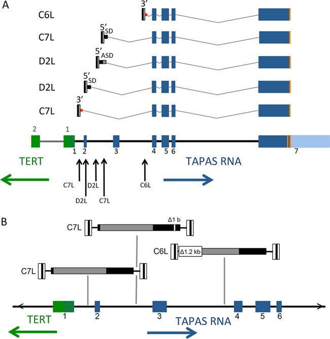 FIG 4