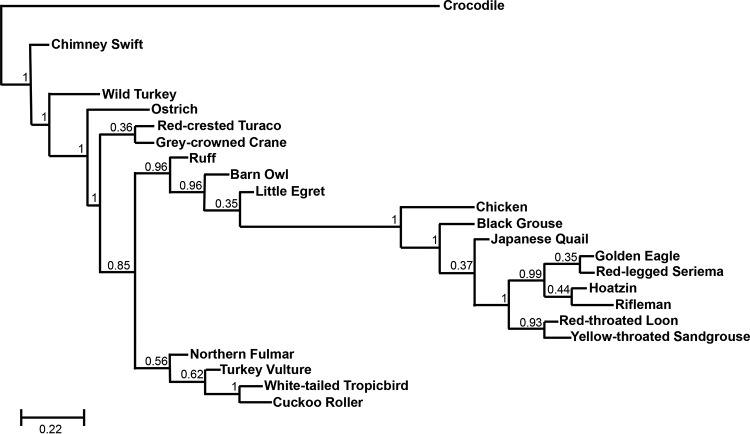 FIG 6