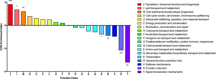 FIG 2 