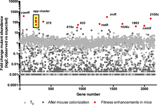 FIG 6 