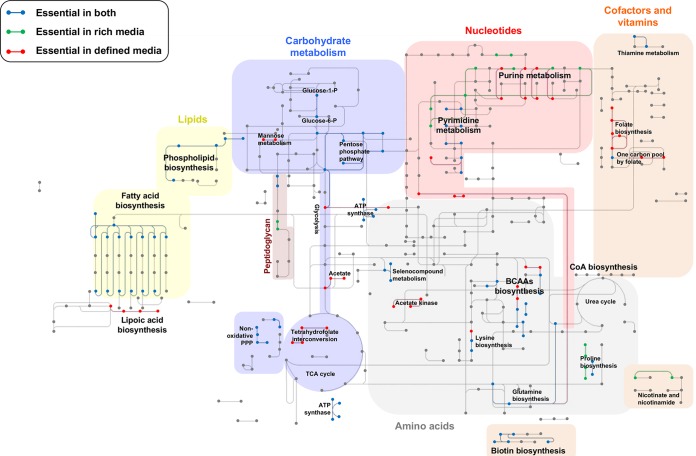 FIG 4 