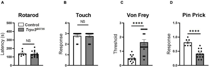 FIGURE 3