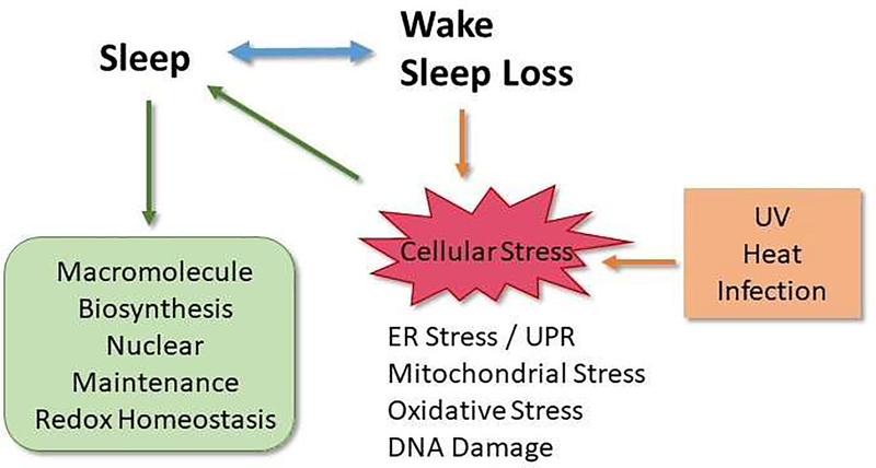 Figure 1: